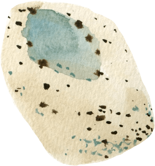 A round piece of cream colored concrete speckled with blue and brown. The fragment still retains a bit of teal glaze.